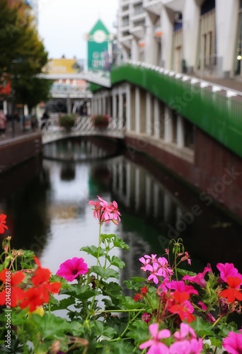 bridge over the river