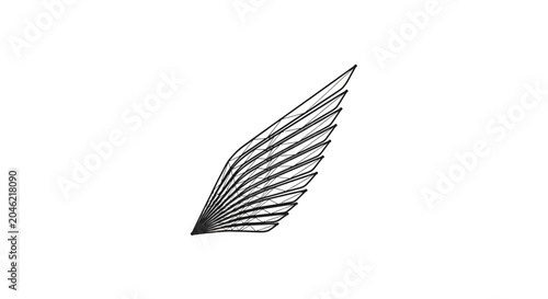 Schilderij op canvas Detailed view of a wing.