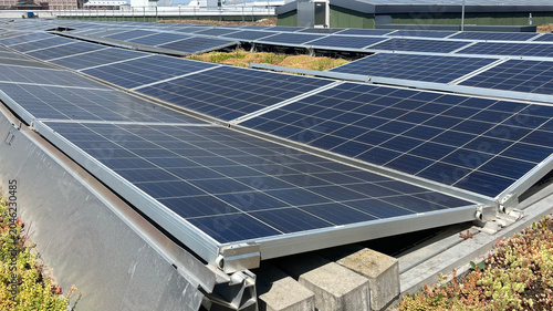 Fotografie Solar panels installed on a rooftop with visible overgrown grass and weeds sprea