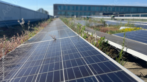 Canvas Print Solar panels installed on a rooftop with visible overgrown grass and weeds sprea