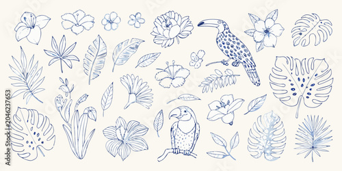 Fotografía Tropical floral and avian line illustrations in blue tones