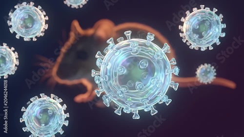 Zoonotic virus particles floating over a brown rat in 3d animation
