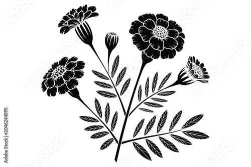Black and white of a plant with buds and leaves weed