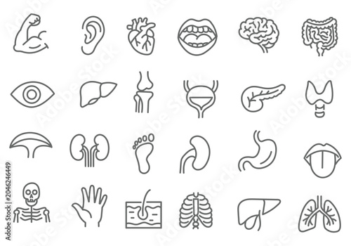 Foto Medical organs line icon set