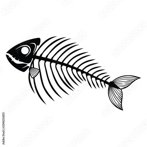 vector illustration of a fish