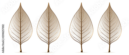 Golden leaf skeleton leaf botanical pattern nature design leaf vein autumn decor minimal art white background delicate texture organic shape Four golden skeleton leaf vein illustration