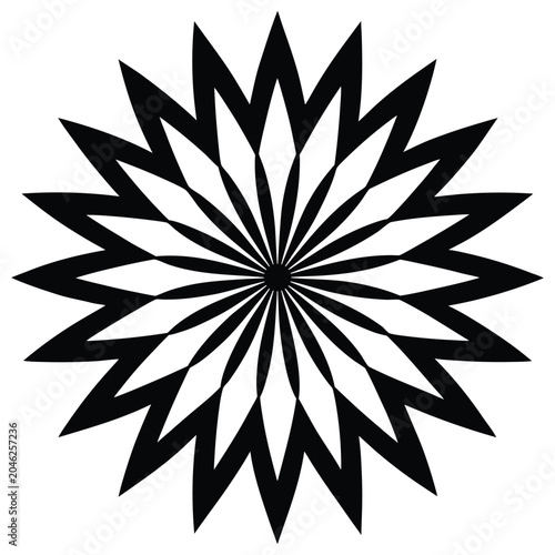 black and white snowflake