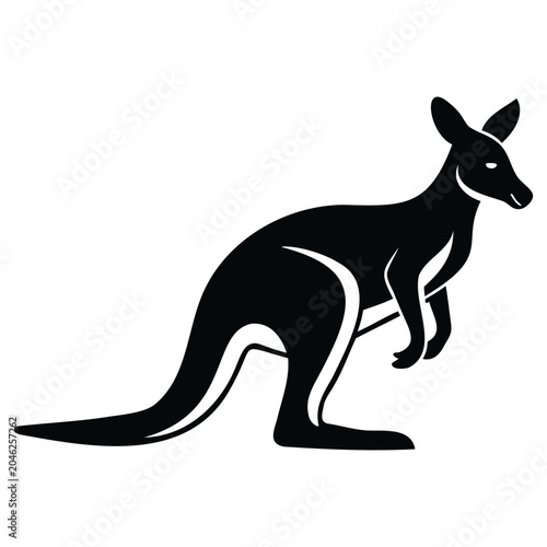 kangaroo vector illustration