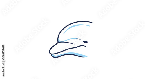 Slika na platnu Dolphin Swimming In The Ocean Water.