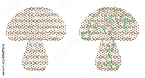 Konstfotografi Maze puzzle illustration featuring a mushroom-shaped solution path with intricat