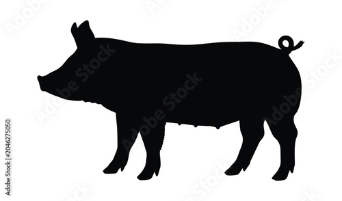 Silhouette Of A Pig Standing, Black And White Illustration Of A Pig, Isolated On White Background