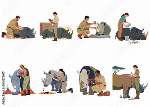 Vászonkép Illustrations of wildlife conservationists and veterinarians providing medical care and monitoring rhinoceroses in a series of outdoor scenes