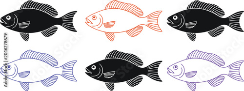 Foto Fish life cycle stages from egg to adult illustration