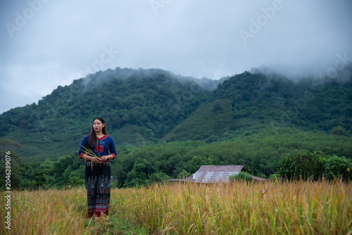 Young Woman Wearing Traditional Ethnic Clothing Holding Harvested Rice Stalks In A Rural Mountain Field