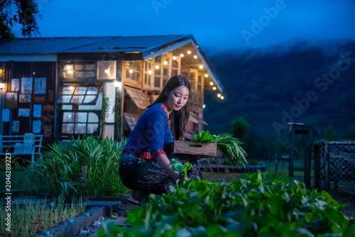 Young Female Farmer Harvesting Fresh Organic Vegetables In A Rustic Garden During Twilight
