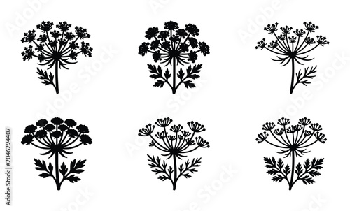 Cuadro en lienzo Black Silhouette Wildflower Umbel Vector Icons, Botanical Decorative Floral Elem