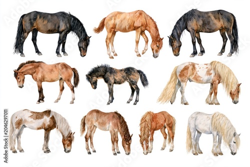 Collection of nine watercolor horses grazing on a white background