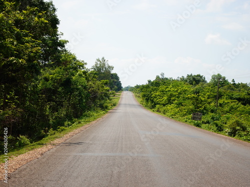 Foto Long empty rural road surrounded by green trees under blue sky on sunny day
