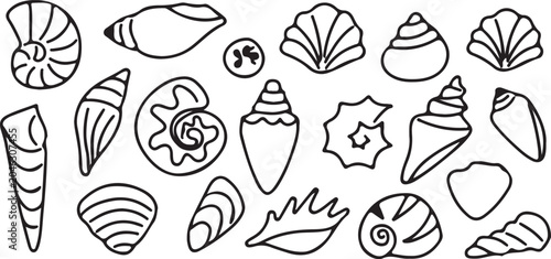 Schilderij op canvas Collection of various seashells and sea snails