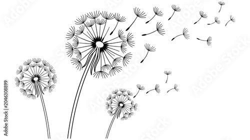 Tableau sur toile Monochrome dandelion flowers blowing seeds in wind on white background art