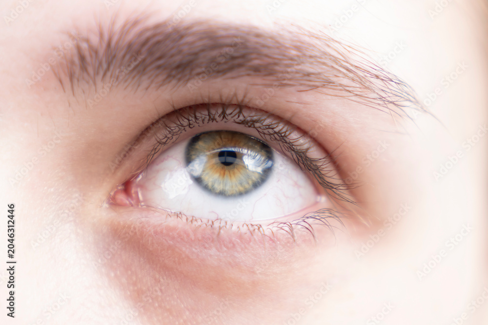 Fototapeta premium Close up human eye with green and hazel iris, eyebrow and eyelashes. Detailed ophthalmology and vision concept. Macro photography. Design for poster, banner, brochure, medical article. Macro shot