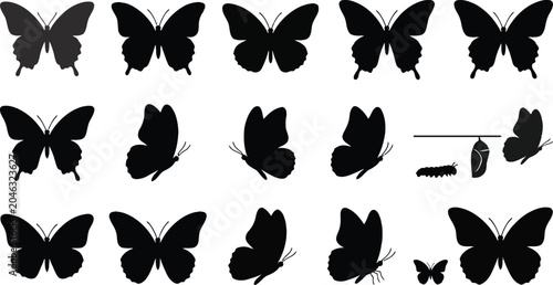 Fotografía Set of butterfly silhouette icons and lifecycle isolated on white background