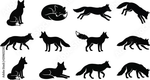 Set of black fox silhouettes in various poses and movements isolated on a white background for design layouts.
