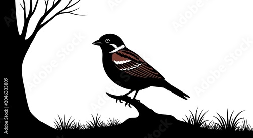 Black and white bird perched on branch silhouette.