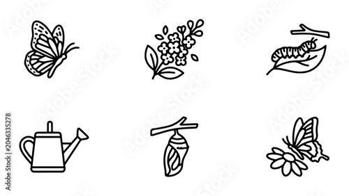 Foto Butterfly Life Cycle Icons: Metamorphosis Stages, Insect Growth, Nature Elements