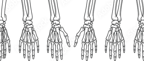 Schilderij op canvas Minimalist anatomical human hand skeleton line art border with detailed bone structures in a clean and clinical pattern