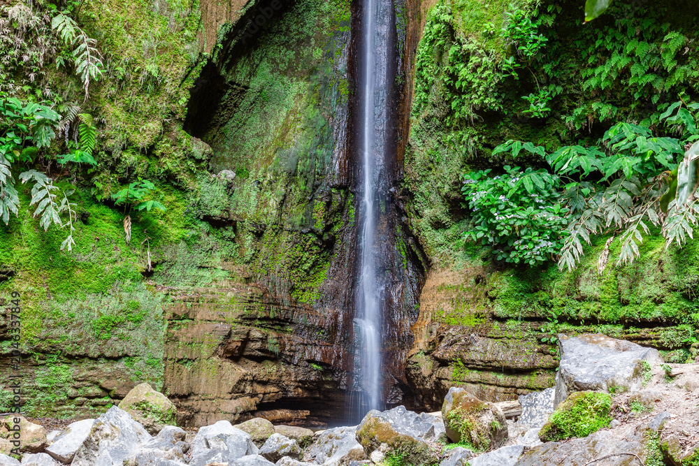 Obraz premium Salto do Rosal waterfall, Sao Miguel, Azores. Narrow waterfall drops into a rocky pool. Mossy cliffs and verdant foliage surround the cascade. Portugal.