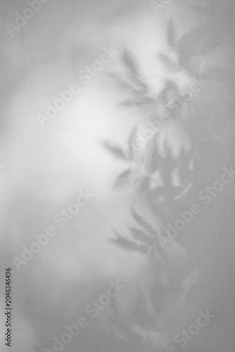 Shadows of leaves cast on a textured gray wall, creating an abstract pattern of nature's silhouette in a monochromatic setting