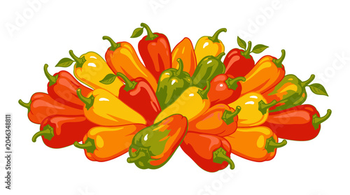 Colorful peppers in a bunch together.