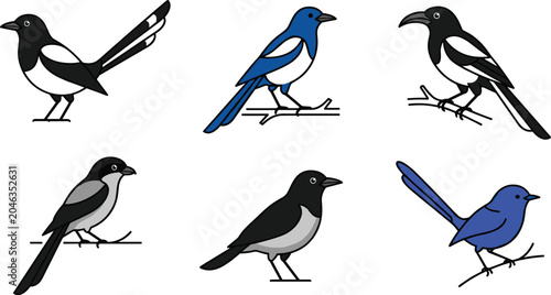 Bild auf Leinwand Flat vector illustration set of cartoon magpie and songbird characters perched o