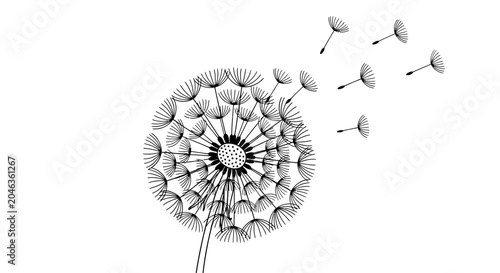 Black and White Dandelion Flower Sketch with Flying Seeds