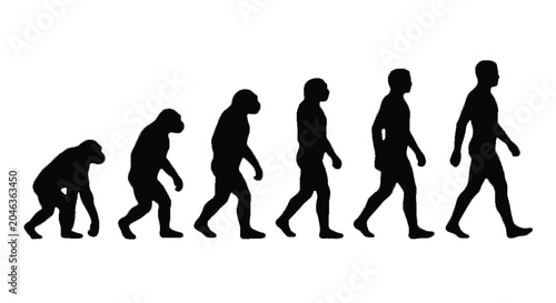 Bild auf Leinwand human evolution silhouette on white background ape