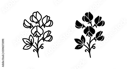 Bild auf Leinwand Elegant Sweet Pea Flower Vector Icons, Delicate Botanical Line Art and Silhouett