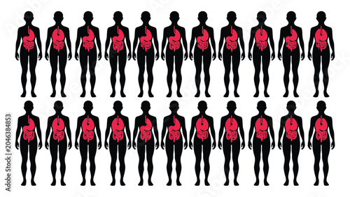 Tableau sur toile Human silhouettes display the internal digestive system to illustrate biological health concepts