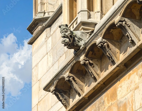 Close-up of ornate stonework; a weathered gothic gargoyle, and decorative architectural elements under a cloudy sky