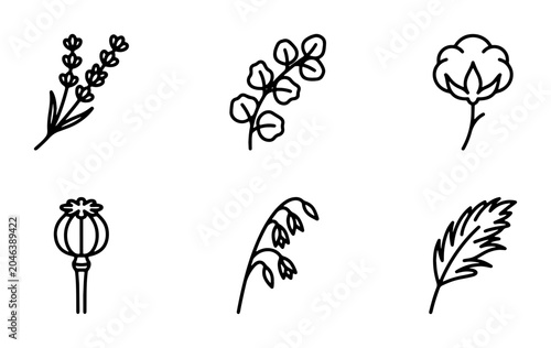 Foto Botanical Line Art Icons: Lavender, Eucalyptus, Cotton, Poppy, Lily of the Valle