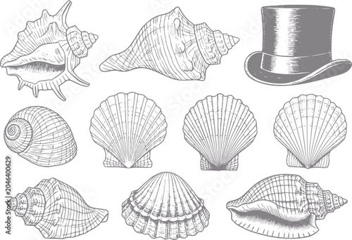 Foto Collection of seashells and a hat in vintage style