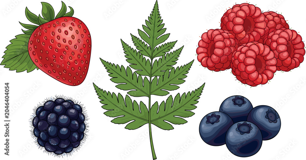 Φωτογραφία Fresh Forest Berry and Botanical Fern Leaf Vector Set with Strawberry Raspberry