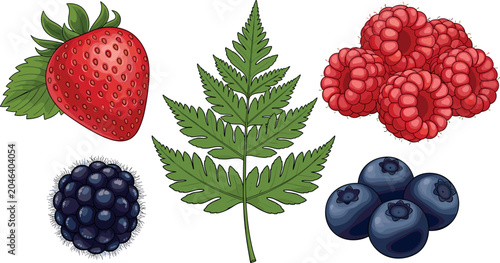 Tableau sur toile Fresh Forest Berry and Botanical Fern Leaf Vector Set with Strawberry Raspberry