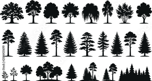 Fotografie Black silhouettes of various trees on white background, tree silhouettes black t