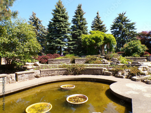 Summer landscape with trees and pond, stone,  in the park