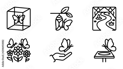 Foto Butterfly Life Cycle Icons Set, Metamorphosis Stages Vector Graphics, Nature Tra