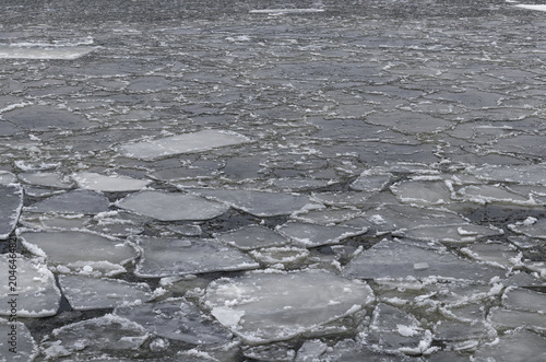 Translucent ice blocks floating on dark winter water