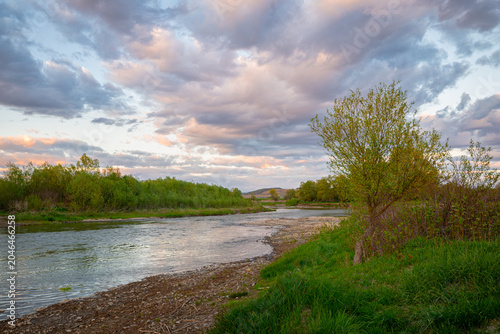 Sunset with cloudy sky and green tree along a grassy riverbank of river Mures, central Transylvania, Romania.