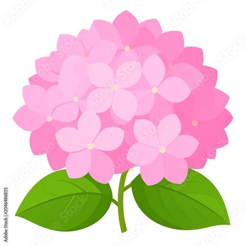 Pink peony flower with green leaves isolated.