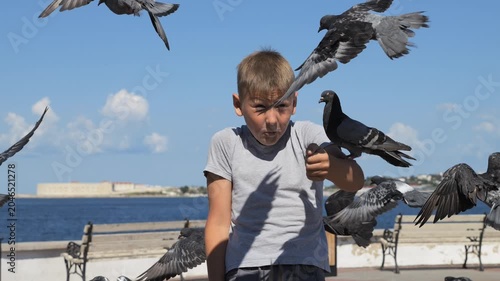 A child surrounded by pigeons. Boys feed birds. The delight of children from communicating with wildlife.